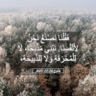 Picture 05 - يَشُوع 22:26 AVD - فَقُلْنَا نَصْنَعُ نَحْنُ - Bible Verse Picture