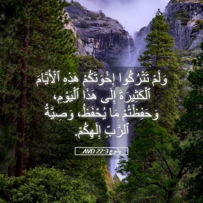 Picture 05 - يَشُوع 22:3 AVD - وَلَمْ تَتْرُكُوا - Bible Verse Picture