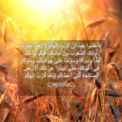 Picture 05 - يَشُوع 23:13 AVD - فَٱعْلَمُوا يَقِينًا - Bible Verse Picture
