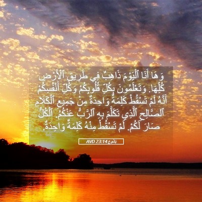 Picture 05 - يَشُوع 23:14 AVD - وَهَا أَنَا ٱلْيَوْمَ - Bible Verse Picture