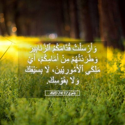 Picture 05 - يَشُوع 24:12 AVD - وَأَرْسَلْتُ قُدَّامَكُمُ - Bible Verse Picture