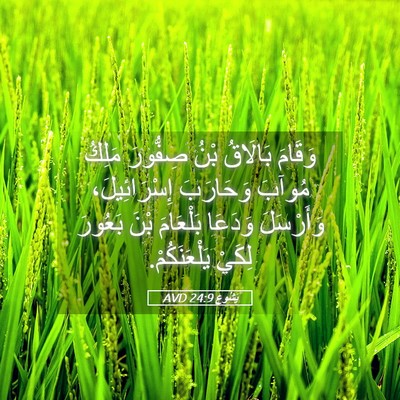 Picture 05 - يَشُوع 24:9 AVD - وَقَامَ بَالَاقُ بْنُ - Bible Verse Picture