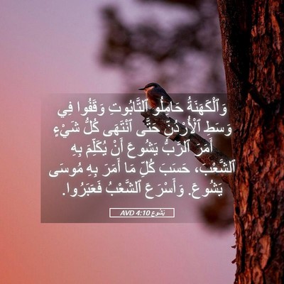 Picture 05 - يَشُوع 4:10 AVD - وَٱلْكَهَنَةُ حَامِلُو - Bible Verse Picture