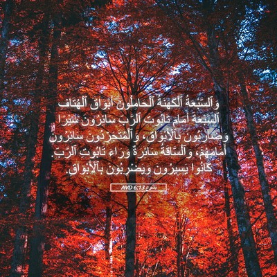Picture 05 - يَشُوع 6:13 AVD - وَٱلسَّبْعَةُ ٱلْكَهَنَةُ - Bible Verse Picture