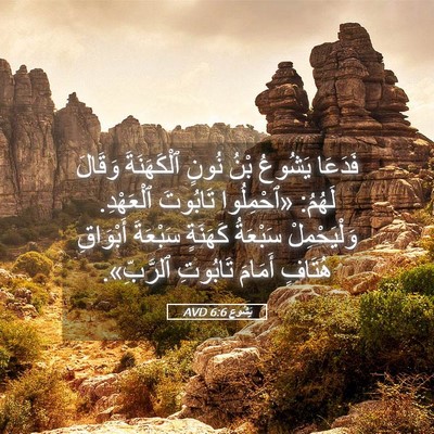 Picture 05 - يَشُوع 6:6 AVD - فَدَعَا يَشُوعُ بْنُ نُونٍ - Bible Verse Picture