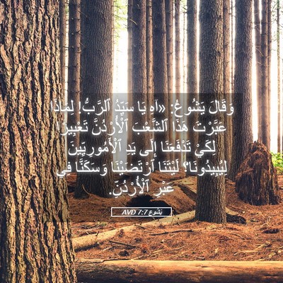 Picture 05 - يَشُوع 7:7 AVD - وَقَالَ يَشُوعُ: «آهِ يَا - Bible Verse Picture