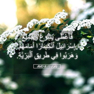 Picture 05 - يَشُوع 8:15 AVD - فَأَعْطَى يَشُوعُ - Bible Verse Picture