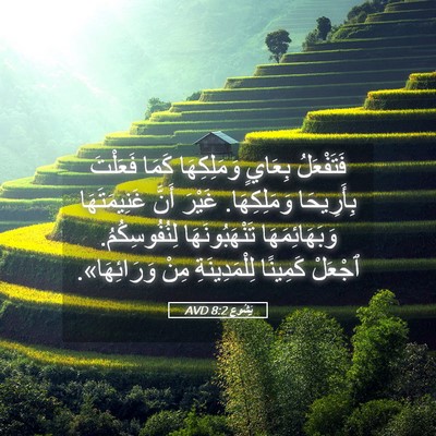 Picture 05 - يَشُوع 8:2 AVD - فَتَفْعَلُ بِعَايٍ - Bible Verse Picture