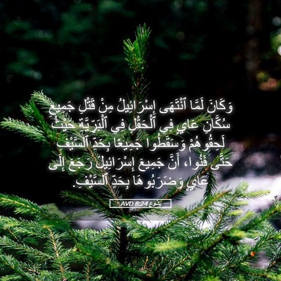 Picture 05 - يَشُوع 8:24 AVD - وَكَانَ لَمَّا ٱنْتَهَى - Bible Verse Picture