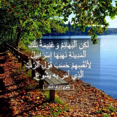 Picture 05 - يَشُوع 8:27 AVD - لَكِنِ ٱلْبَهَائِمُ - Bible Verse Picture