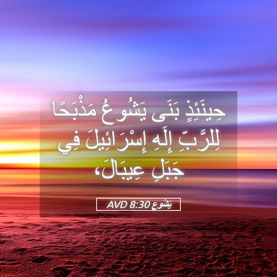 Picture 05 - يَشُوع 8:30 AVD - حِينَئِذٍ بَنَى يَشُوعُ - Bible Verse Picture