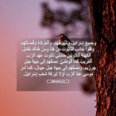 Picture 05 - يَشُوع 8:33 AVD - وَجَمِيعُ إِسْرَائِيلَ - Bible Verse Picture