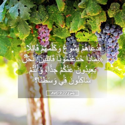 Picture 05 - يَشُوع 9:22 AVD - فَدَعَاهُمْ يَشُوعُ - Bible Verse Picture