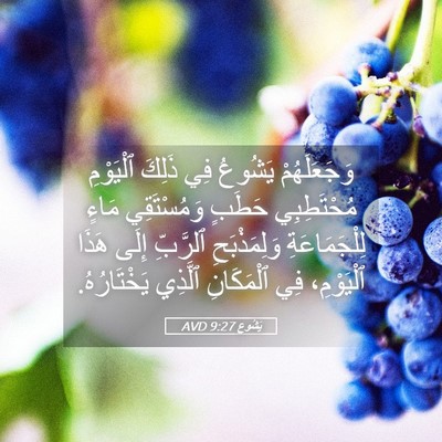 Picture 05 - يَشُوع 9:27 AVD - وَجَعَلَهُمْ يَشُوعُ فِي - Bible Verse Picture