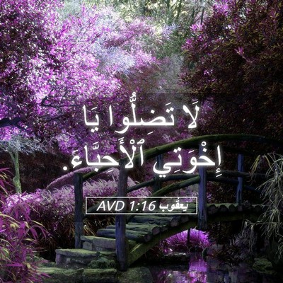 Picture 05 - يَعقُوب 1:16 AVD - لَا تَضِلُّوا يَا - Bible Verse Picture