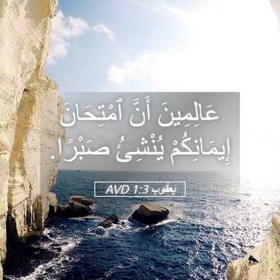 Picture 05 - يَعقُوب 1:3 AVD - عَالِمِينَ أَنَّ - Bible Verse Picture