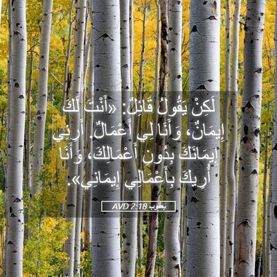 Picture 05 - يَعقُوب 2:18 AVD - لَكِنْ يَقُولُ قَائِلٌ: - Bible Verse Picture