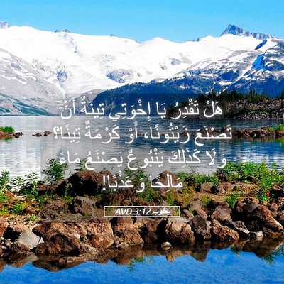 Picture 05 - يَعقُوب 3:12 AVD - هَلْ تَقْدِرُ يَا - Bible Verse Picture