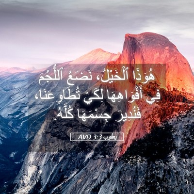 Picture 05 - يَعقُوب 3:3 AVD - هُوَذَا ٱلْخَيْلُ، نَضَعُ - Bible Verse Picture