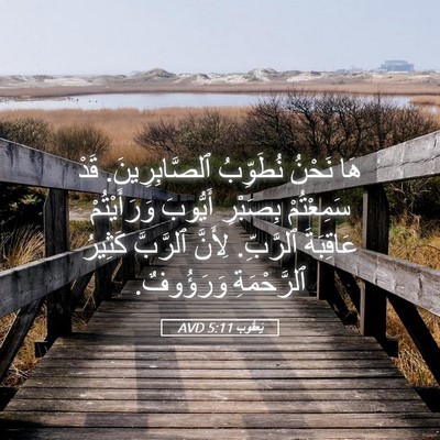 Picture 05 - يَعقُوب 5:11 AVD - هَا نَحْنُ نُطَوِّبُ - Bible Verse Picture