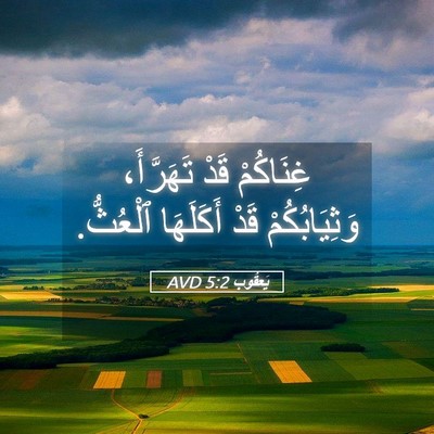 Picture 05 - يَعقُوب 5:2 AVD - غِنَاكُمْ قَدْ تَهَرَّأَ، - Bible Verse Picture