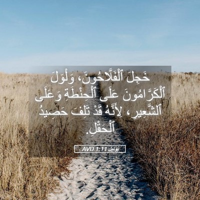 Picture 05 - يُوئِيل 1:11 AVD - خَجِلَ ٱلْفَلَّاحُونَ، - Bible Verse Picture