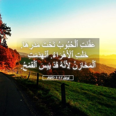 Picture 05 - يُوئِيل 1:17 AVD - عَفَّنَتِ ٱلْحُبُوبُ - Bible Verse Picture