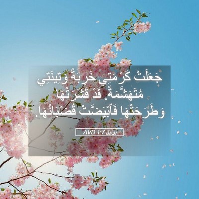 Picture 05 - يُوئِيل 1:7 AVD - جَعَلَتْ كَرْمَتِي - Bible Verse Picture