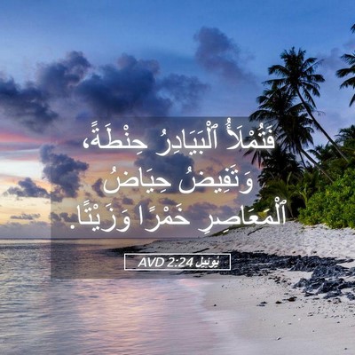 Picture 05 - يُوئِيل 2:24 AVD - فَتُمْلَأُ ٱلْبَيَادِرُ - Bible Verse Picture