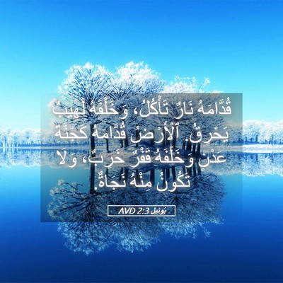 Picture 05 - يُوئِيل 2:3 AVD - قُدَّامَهُ نَارٌ - Bible Verse Picture