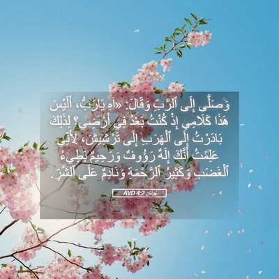 Picture 05 - يُونَان 4:2 AVD - وَصَلَّى إِلَى ٱلرَّبِّ - Bible Verse Picture
