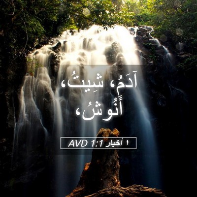 Picture 05 - ١ أخبار 1:1 AVD - آدَمُ، شِيتُ، - Bible Verse Picture