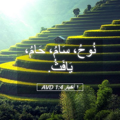 Picture 05 - ١ أخبار 1:4 AVD - نُوحُ، سَامُ، حَامُ، - Bible Verse Picture