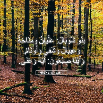 Picture 05 - ١ أخبار 1:40 AVD - بَنُو شُوبَالَ: عَلْيَانُ - Bible Verse Picture