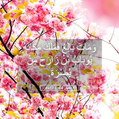 Picture 05 - ١ أخبار 1:44 AVD - وَمَاتَ بَالِعُ فَمَلَكَ - Bible Verse Picture