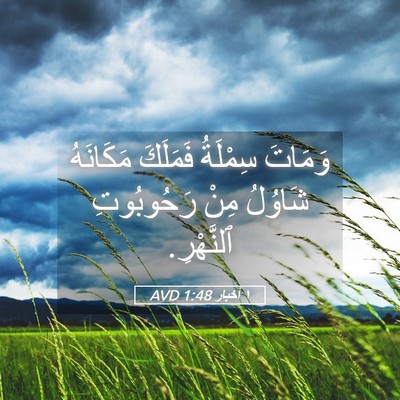 Picture 05 - ١ أخبار 1:48 AVD - وَمَاتَ سِمْلَةُ فَمَلَكَ - Bible Verse Picture