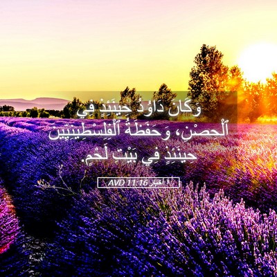 Picture 05 - ١ أخبار 11:16 AVD - وَكَانَ دَاوُدُ حِينَئِذٍ - Bible Verse Picture