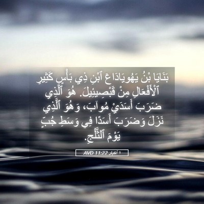 Picture 05 - ١ أخبار 11:22 AVD - بَنَايَا بْنُ - Bible Verse Picture