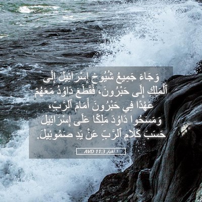 Picture 05 - ١ أخبار 11:3 AVD - وَجَاءَ جَمِيعُ شُيُوخِ - Bible Verse Picture