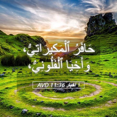 Picture 05 - ١ أخبار 11:36 AVD - حَافَرُ ٱلْمَكِيرَاتِيُّ، - Bible Verse Picture