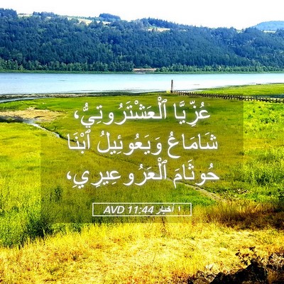 Picture 05 - ١ أخبار 11:44 AVD - عُزِّيَّا - Bible Verse Picture