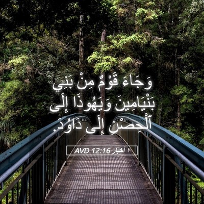 Picture 05 - ١ أخبار 12:16 AVD - وَجَاءَ قَوْمٌ مِنْ بَنِي - Bible Verse Picture