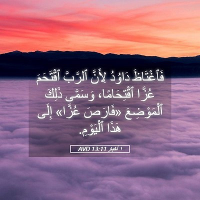 Picture 05 - ١ أخبار 13:11 AVD - فَٱغْتَاظَ دَاوُدُ - Bible Verse Picture