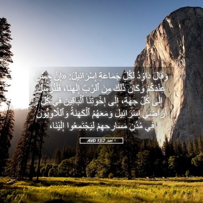 Picture 05 - ١ أخبار 13:2 AVD - وَقَالَ دَاوُدُ لِكُلِّ - Bible Verse Picture