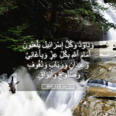 Picture 05 - ١ أخبار 13:8 AVD - وَدَاوُدُ وَكُلُّ - Bible Verse Picture