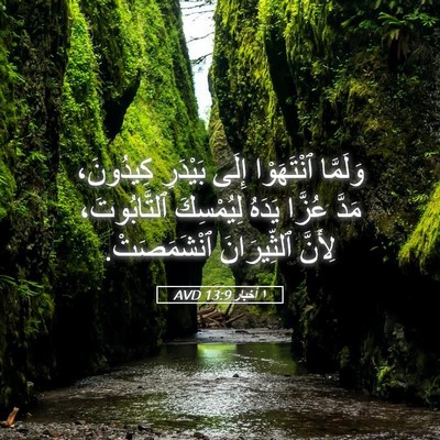 Picture 05 - ١ أخبار 13:9 AVD - وَلَمَّا ٱنْتَهَوْا إِلَى - Bible Verse Picture