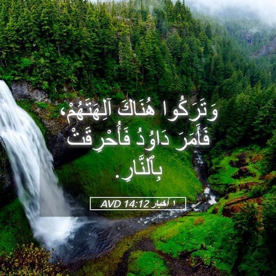 Picture 05 - ١ أخبار 14:12 AVD - وَتَرَكُوا هُنَاكَ - Bible Verse Picture