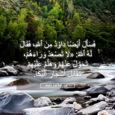 Picture 05 - ١ أخبار 14:14 AVD - فَسَأَلَ أَيْضًا دَاوُدُ - Bible Verse Picture