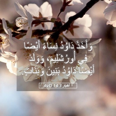 Picture 05 - ١ أخبار 14:3 AVD - وَأَخَذَ دَاوُدُ نِسَاءً - Bible Verse Picture