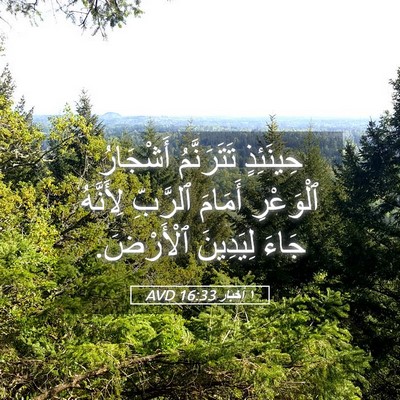 Picture 05 - ١ أخبار 16:33 AVD - حِينَئِذٍ تَتَرَنَّمُ - Bible Verse Picture